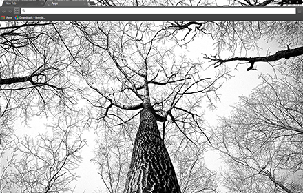 Tree Branches chrome extension
