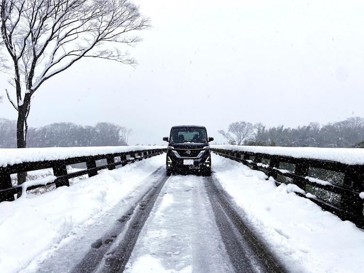 ルークスの写真スポット・メタセコイア並木道・雪道は車が汚れるぞに関するカスタム事例の投稿画像2枚目