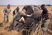 Prince Harry has worked with African Parks for a number of years and has a deep personal interest in frontline conservation projects that work to protect Africa's natural heritage and support both wildlife and local communities.
