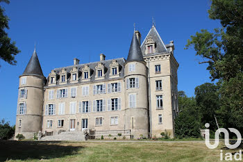 château à Blet (18)