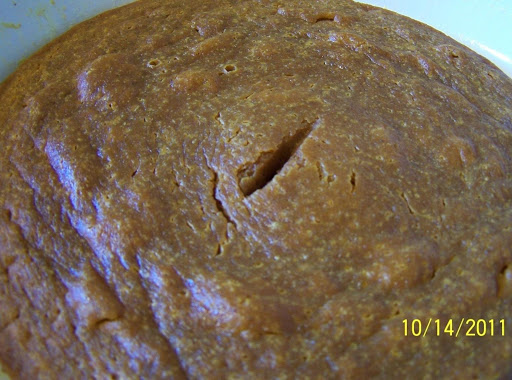 Cin's ''Microwave Pumpkin Fudge-Brownie''...suppose to be a pie