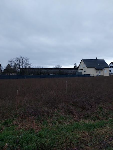 Vente terrain  340 m² à Selestat (67600), 91 800 €