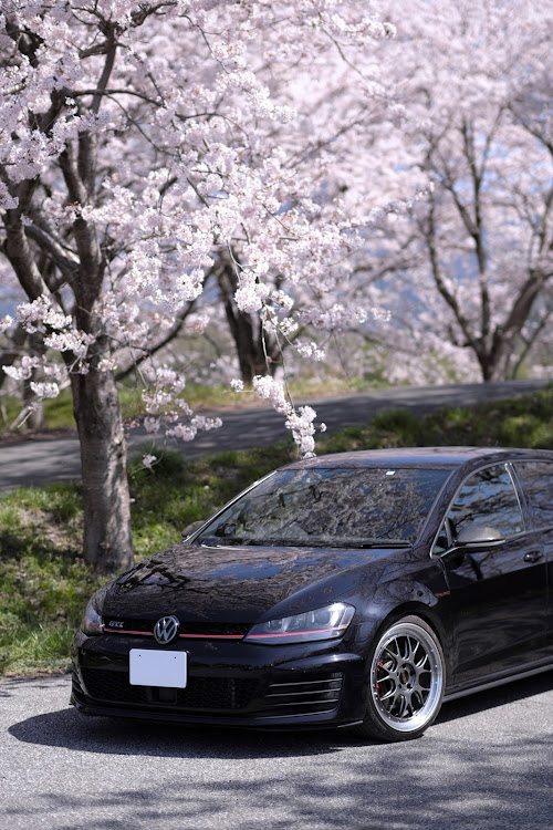 ゴルフGTIの桜と愛車を撮る会・桜と愛車・ごきげんワーゲン・アウディもごきげん・満開でした🌸に関するカスタム事例の投稿画像20枚目