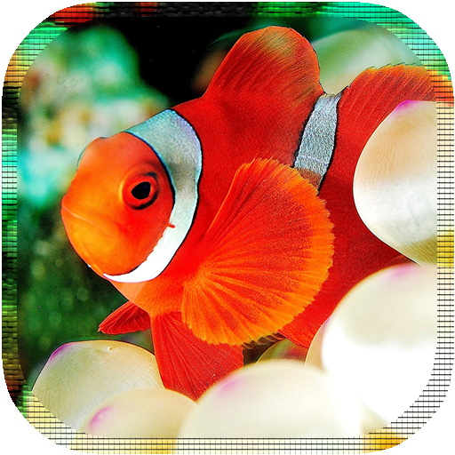 Nemo Funny LiveWallpaper 個人化 App LOGO-APP開箱王