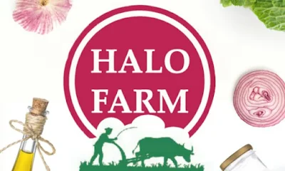 Halofarms