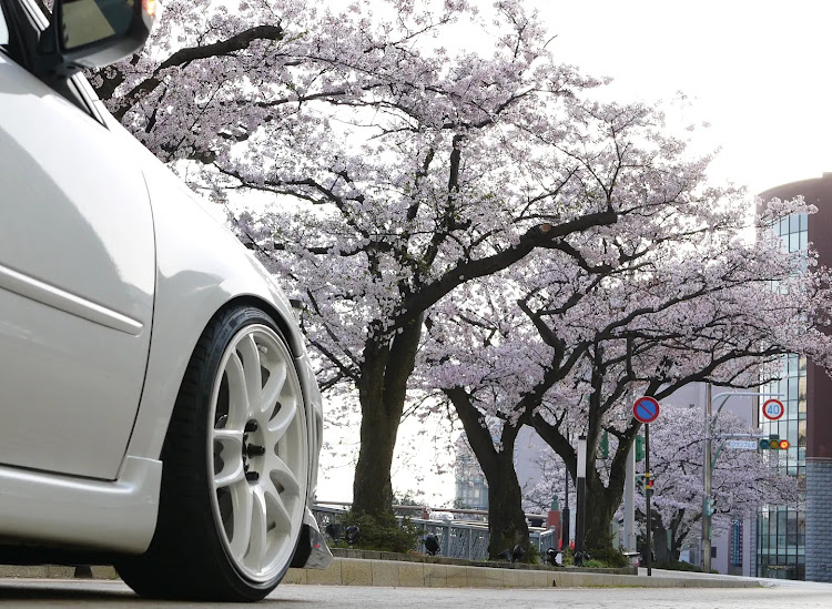 レガシィツーリングワゴンの桜とコラボ🌸・早朝カメ活・春の交通安全週間に関するカスタム事例の投稿画像4枚目