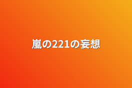 嵐の221の妄想