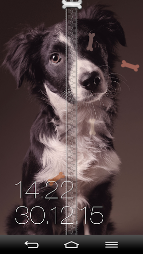 Dogs Zipper Lock Screen