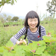 櫻の田野休閒養生館