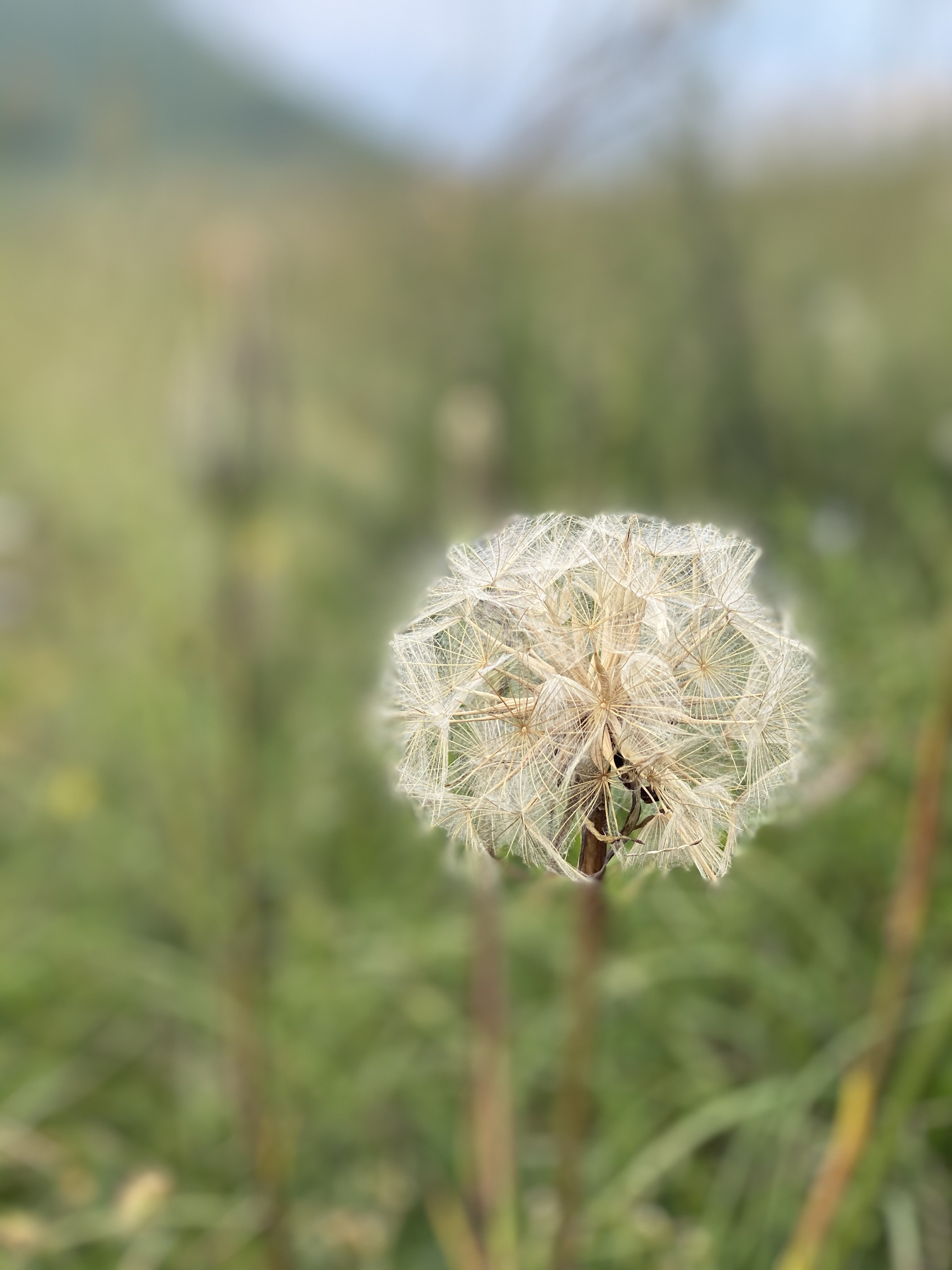 Un soffio e via di emidesa