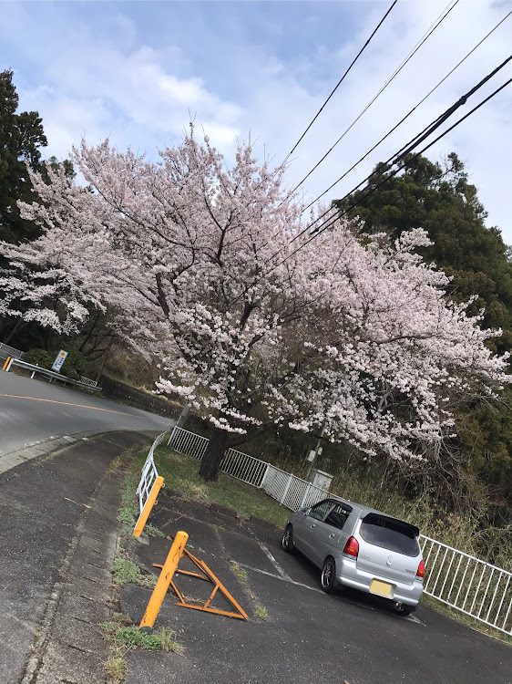 の投稿画像6枚目