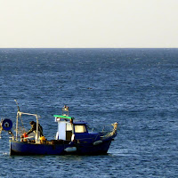 Il pescatore di 