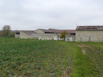 ferme à Loudun (86)