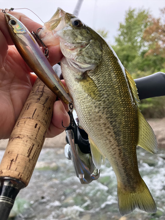 レガシィツーリングワゴンのドライブに関するカスタム事例の投稿画像19枚目