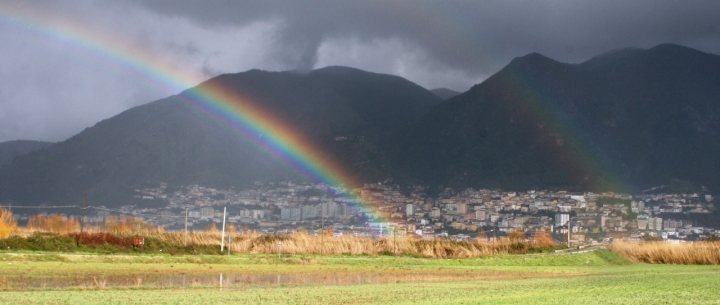 LLa pioggia e i suoi colori di D'ALESSIO