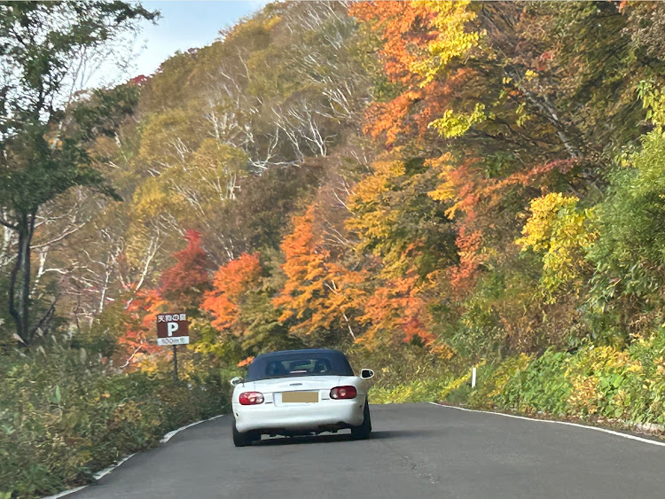 の投稿画像20枚目