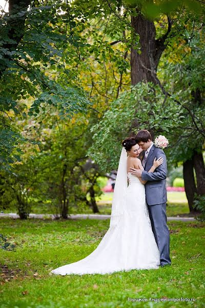 Fotógrafo de bodas Andrey Gorshkov (angor73). Foto del 17 de enero 2013