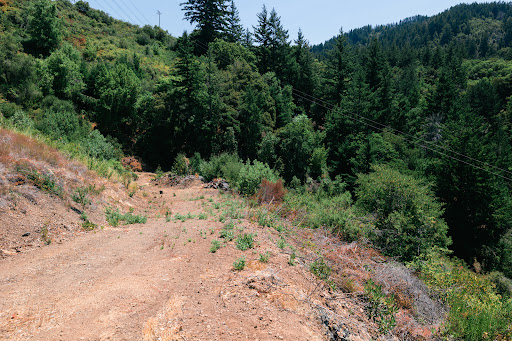 Terrain 2