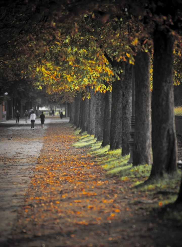 Passeggiata di marco pardi photo