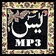 Yaseen MP3 Download on Windows