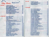 City Spice Restaurant menu 1