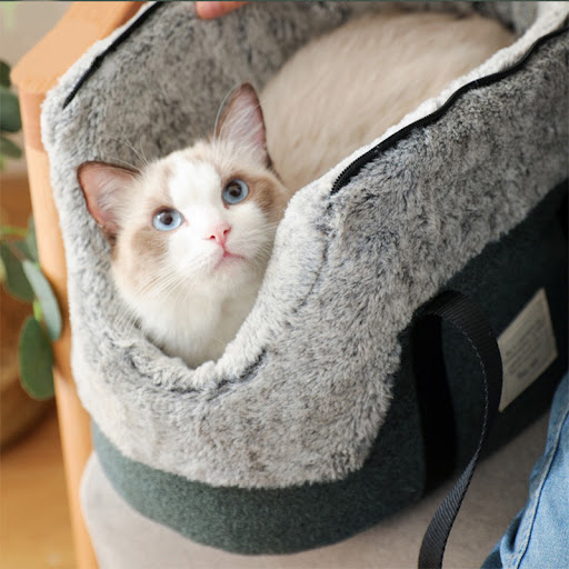 Title 6, Go Out Portable Cat Messenger Warm Pet Backpack...