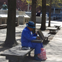 L'uomo in blu di 