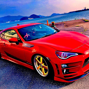 86 ZN6
