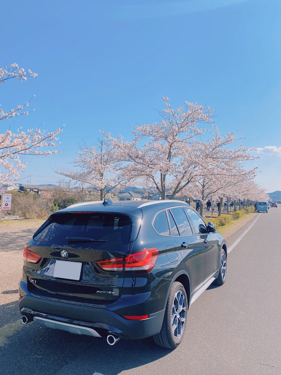 X1の桜とコラボ・桜・ドライブ・三木小野・X1に関するカスタム事例の投稿画像4枚目