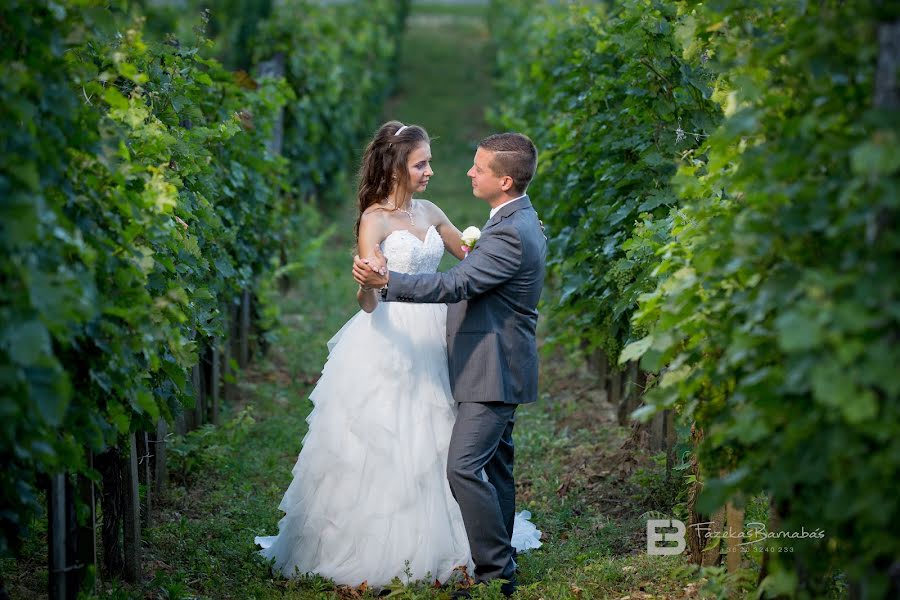 Fotógrafo de casamento Barnabás Fazekas (barnabasfazeka). Foto de 6 de agosto 2018