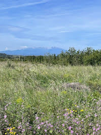 terrain à Rivesaltes (66)