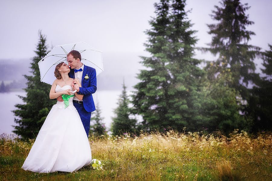 Fotografo di matrimoni Vilena Kharlamceva (vilenah). Foto del 26 settembre 2015