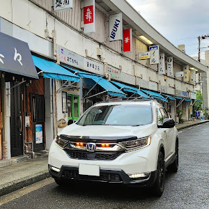 CR-V RT6