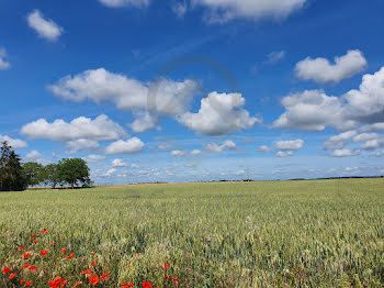 terrain à Angliers (86)