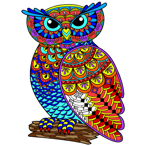 Owl Color By Number Birds Coloring Book Pages Aplikasi Di