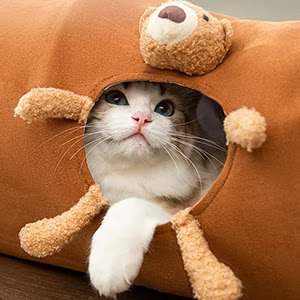 Title 4, Collapsible Cat Tunnel for Indoor Cats with Plu...
