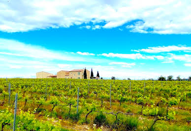 Vineyard with pool and outbuildings 2