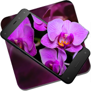 Orchid Rest Live Wallpaper  Icon