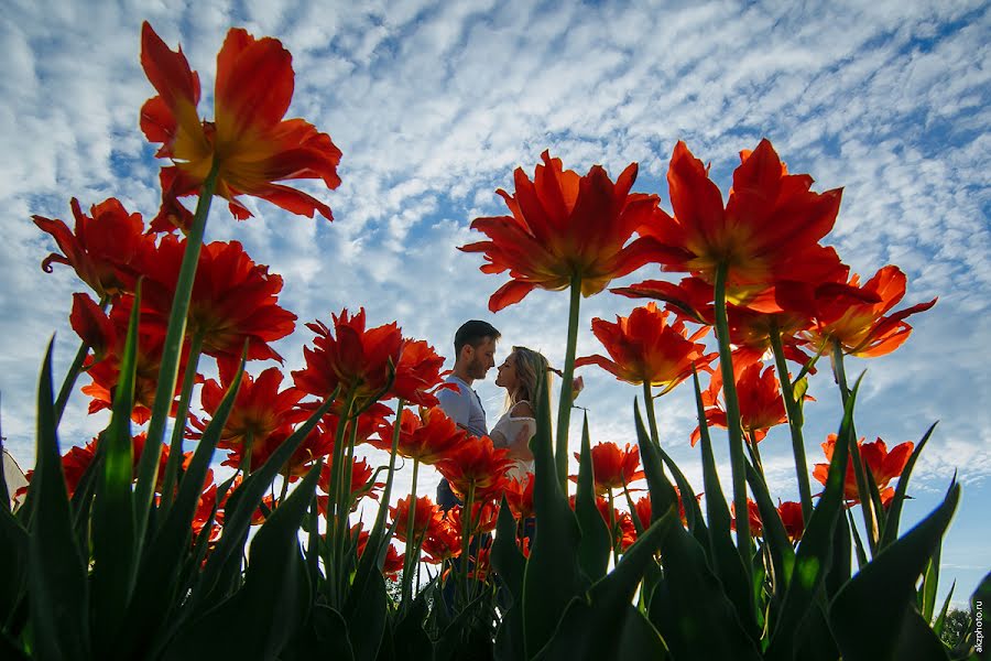 結婚式の写真家Kirill Zorin (akzphoto)。2017 6月15日の写真