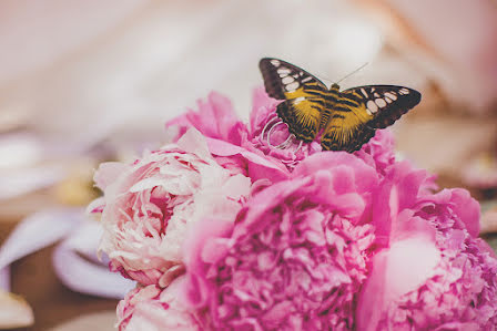 Fotografo di matrimoni Darya Dyachenko (dariadyachenko). Foto del 28 gennaio 2016