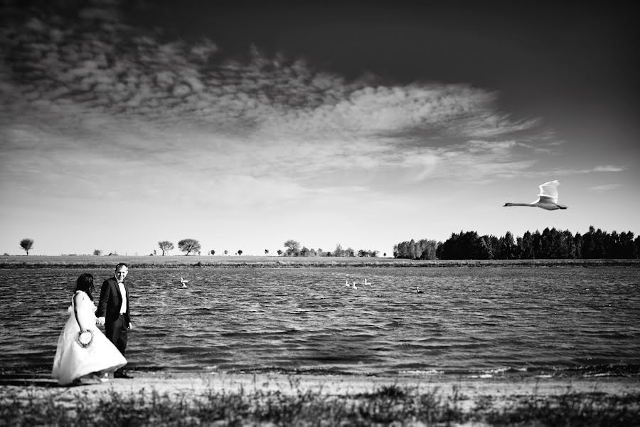 Fotógrafo de casamento Adam Szczepaniak (joannaplusadam). Foto de 20 de março 2016