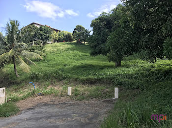 terrain à Sainte luce (972)