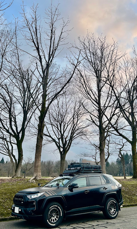 RAV4のグリル大百科・RAV4に関するカスタム事例の投稿画像3枚目