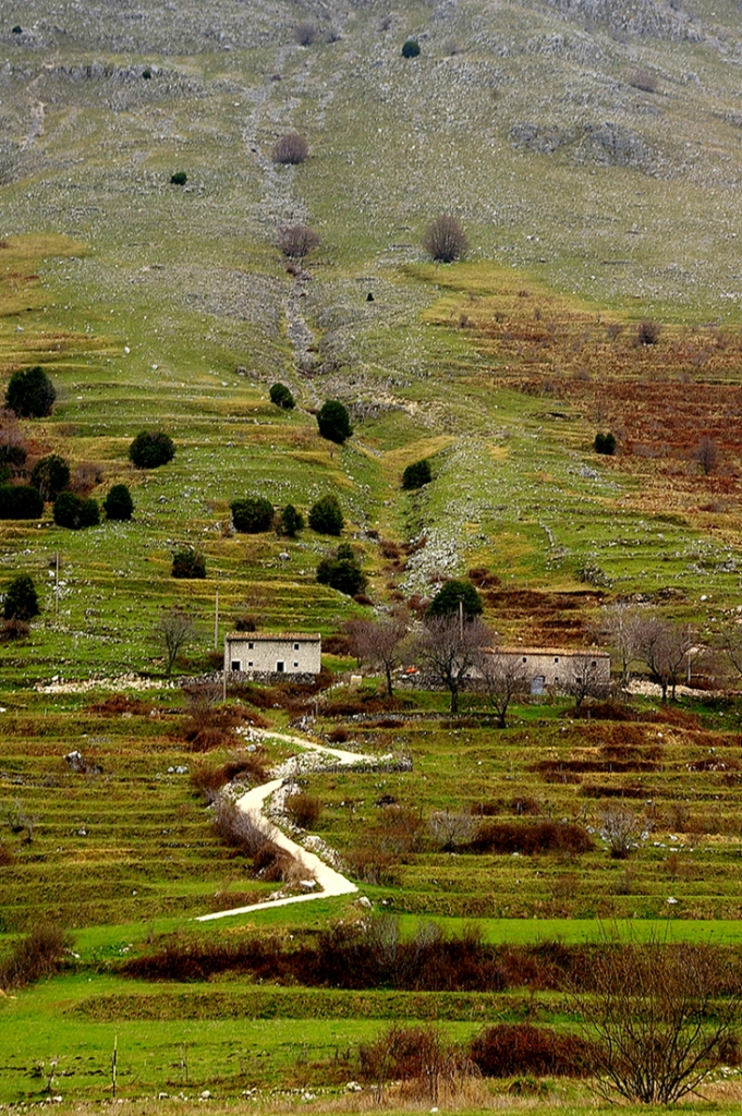 La strada di casa di renataco58