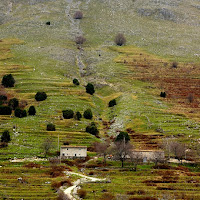 La strada di casa di 