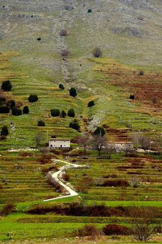 La strada di casa di renataco58