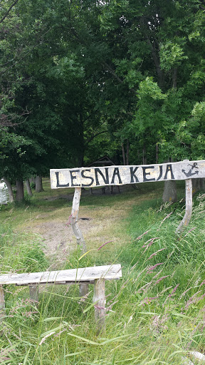 Leśna Keja 