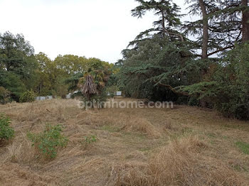 terrain à Montaigut-sur-Save (31)