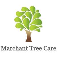 Marchant Tree Care album cover