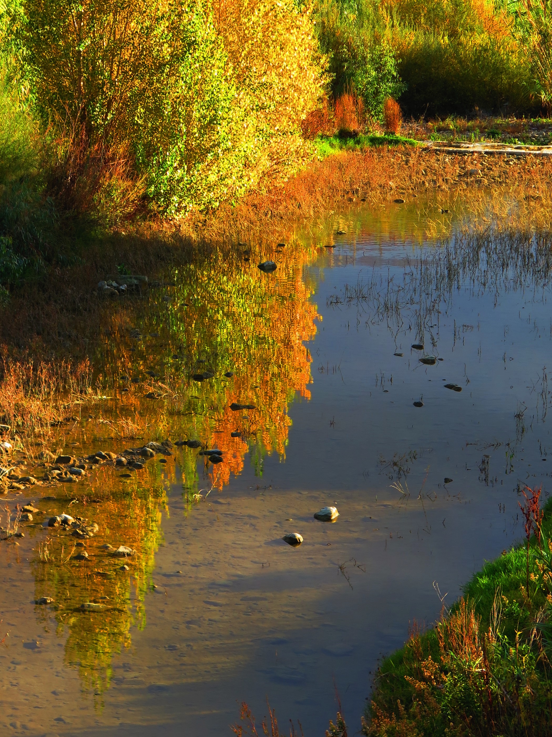 riflessi d'autunno di malte